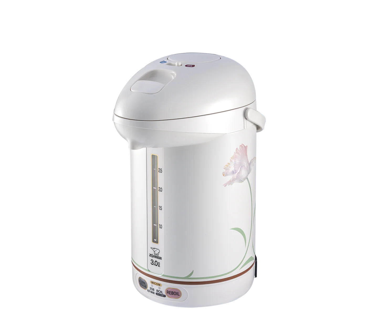 Micom Super Boiler CW-PZC22/30